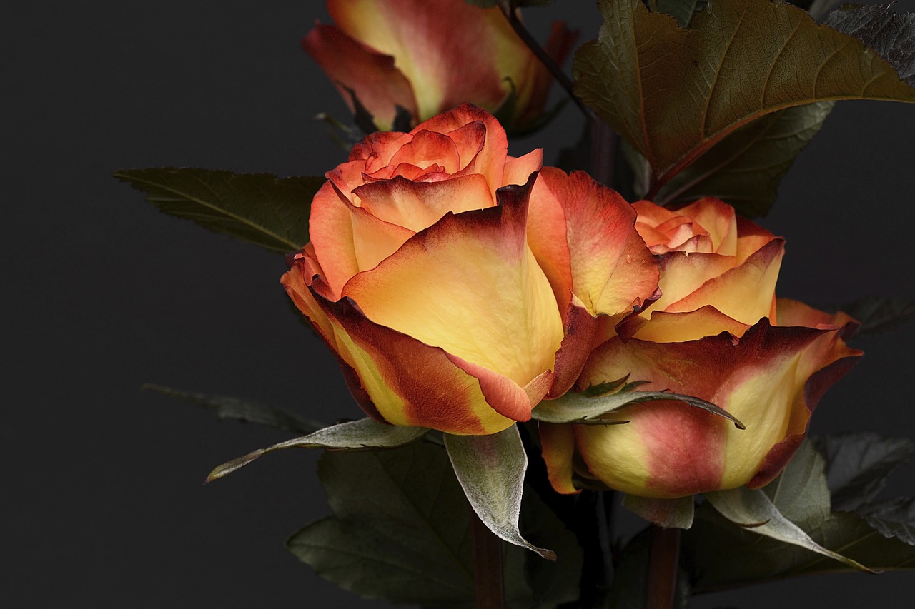 Les alternatives originales au lancer de bouquet classique